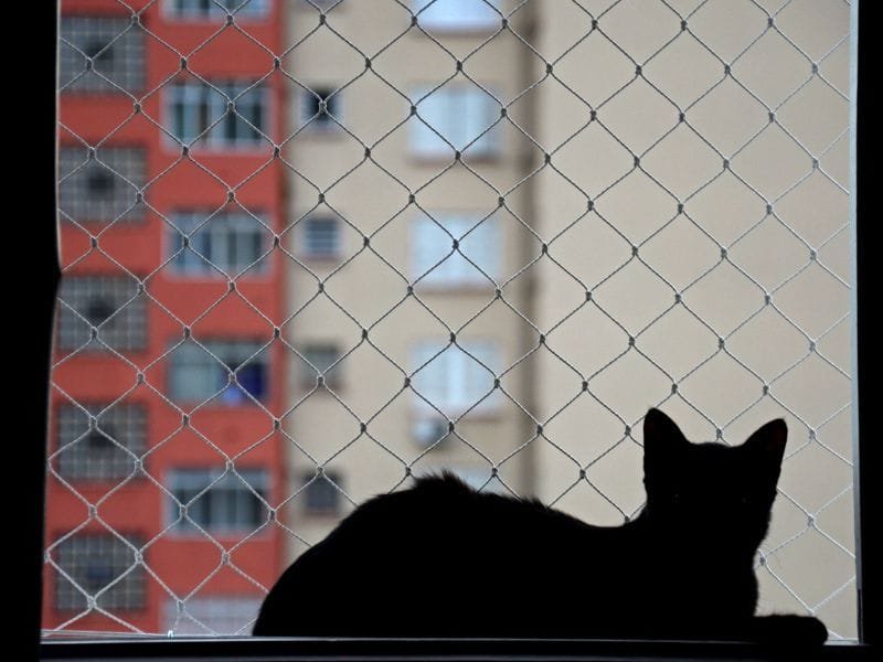 Redes de Proteção em Rio Negro