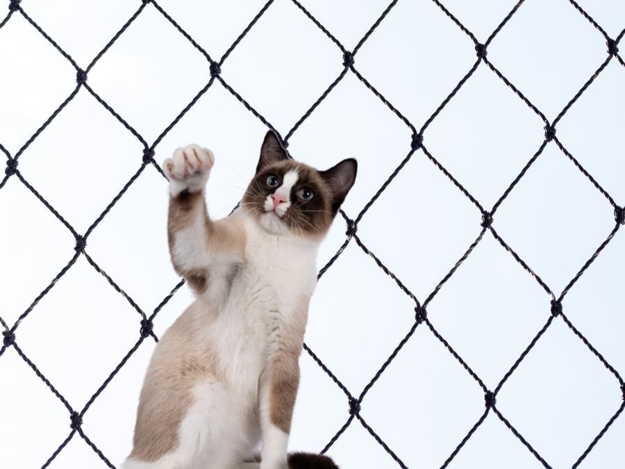 Rede de Proteção em Araucária