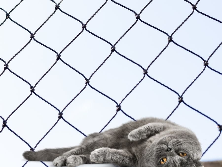 Rede de Proteção em Bairro Alto Curitiba
