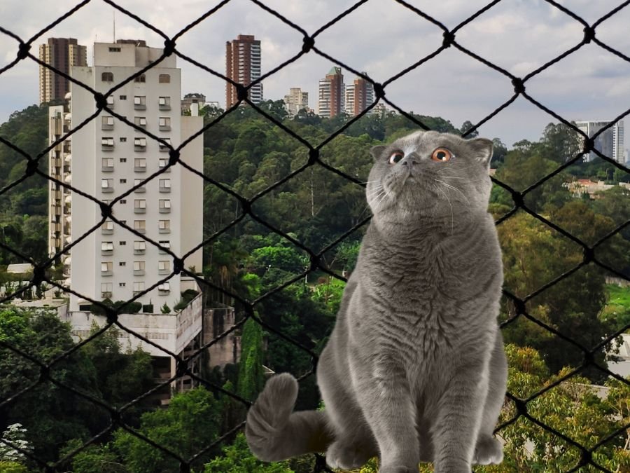 Rede de Proteção para Apartamentos em Centro Curitiba