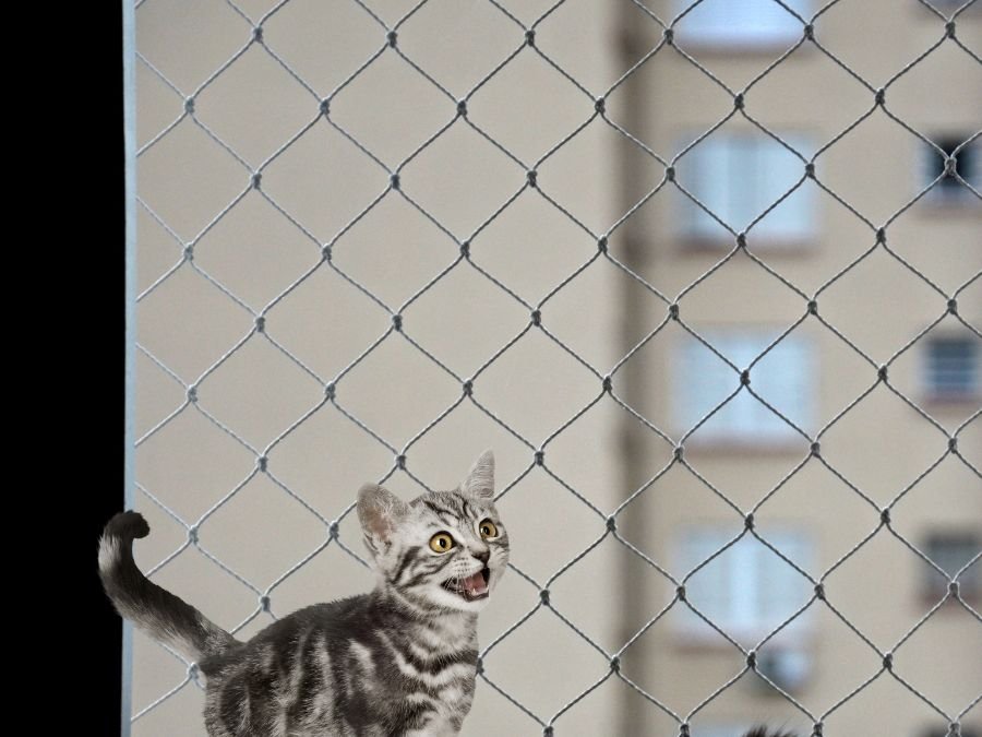 Rede de Proteção para Gatos em Campo do Tenente