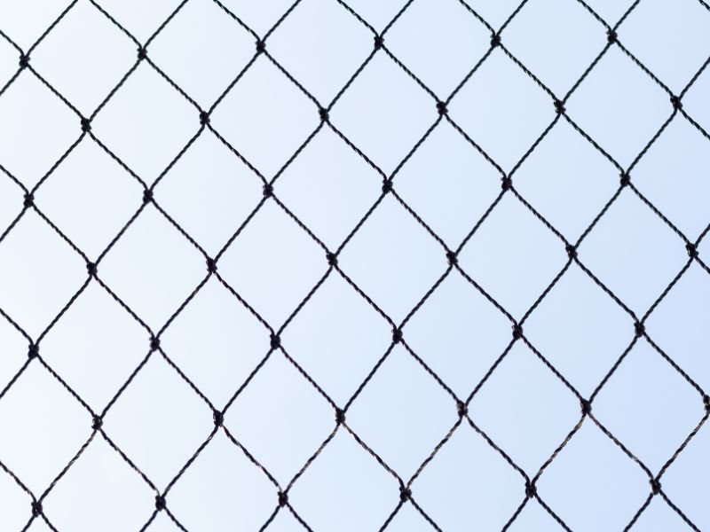 Rede de Proteção para Gatos em Cidade Industrial