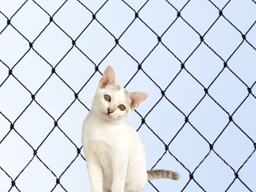 Rede de Proteção para Gatos em Novo Mundo Curitiba