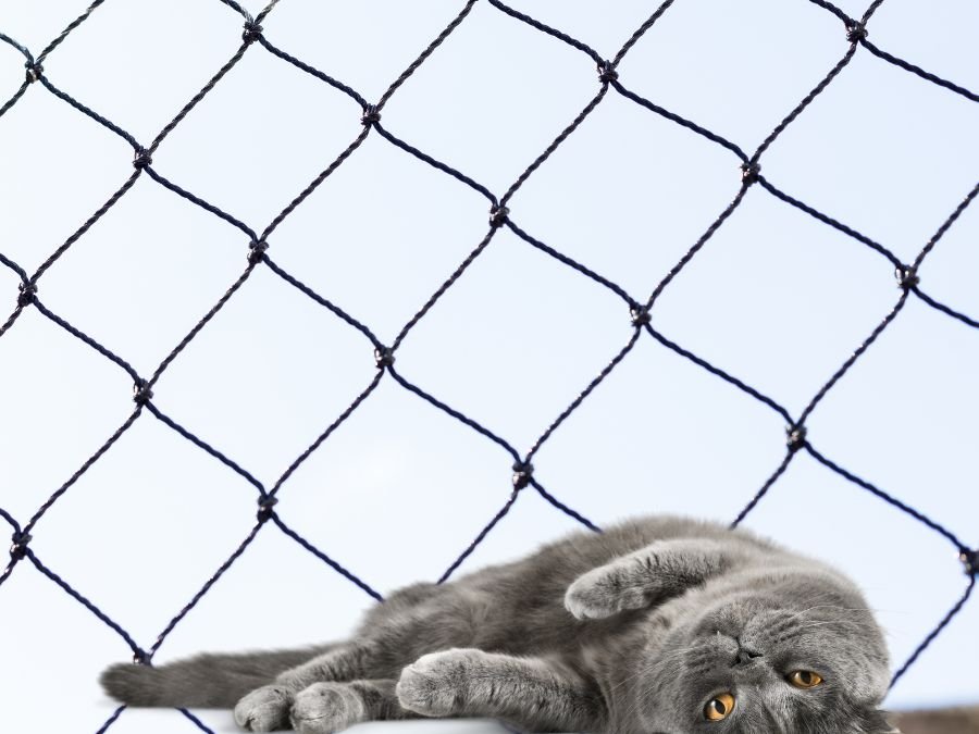 Rede de Segurança para Gatos em Itaperuçu