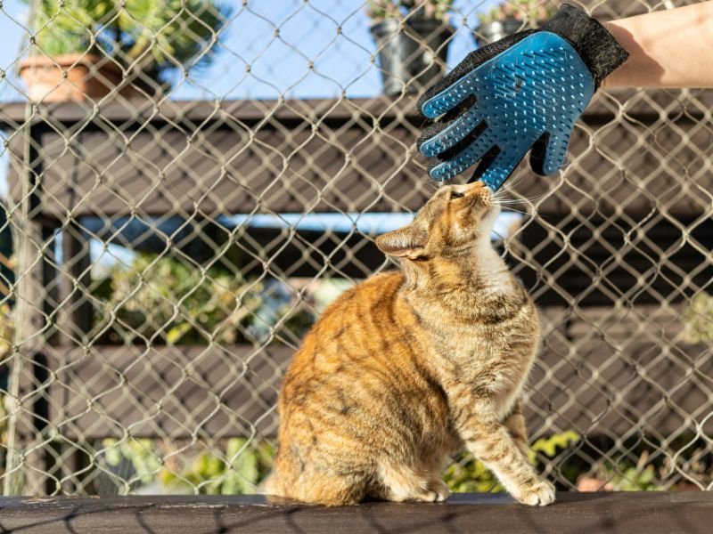 Redes de Proteção para Janelas em Santa Felicidade, Curitiba
