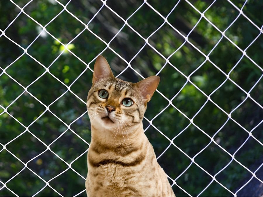 Tela Mosquiteira em Piraquara