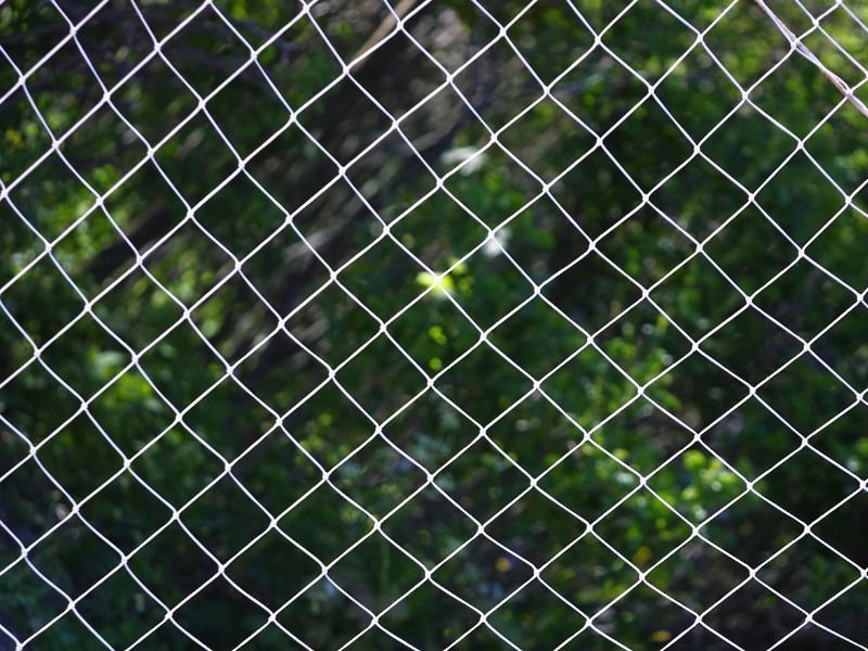 Tela Mosquiteira em Batel Curitiba