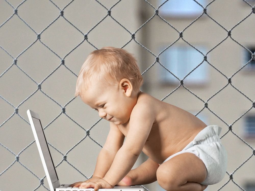 Tela de Proteção em Campo Magro