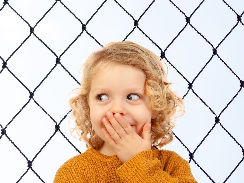 Tela de Segurança em Prado Velho