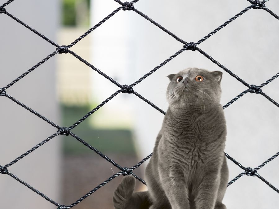 Tela de Segurança em São Lourenço Curitiba