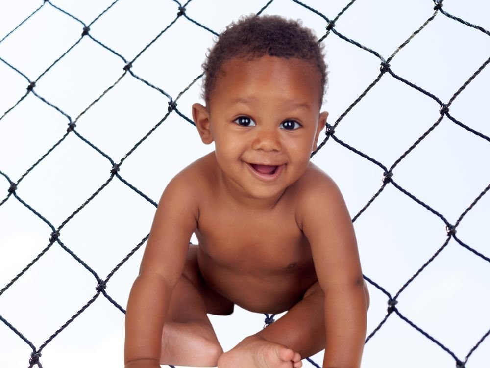 Tela de Segurança para Janela em Campo Largo