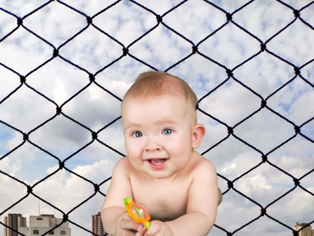 Tela para Janelas em Cachoeira, Curitiba