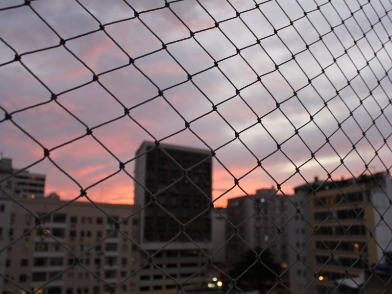 Tela para Janelas em Centro Cívico, Curitiba