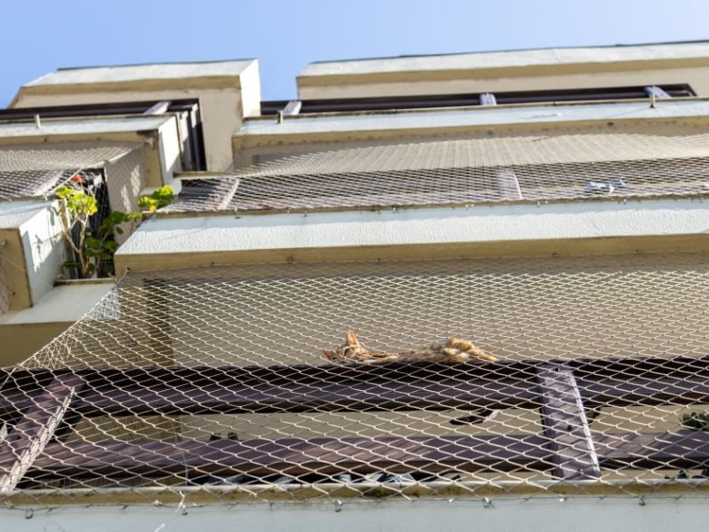 Telas de Segurança em Almirante Tamandaré
